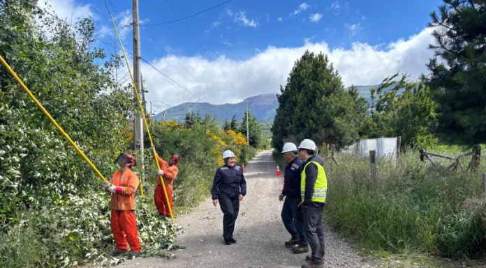 Seremi de Energía y SEC supervisan mantenimiento preventivo del suministro eléctrico en Coyhaique