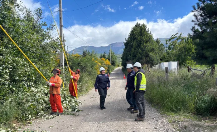 Seremi de Energía y SEC supervisan mantenimiento preventivo del suministro eléctrico en Coyhaique