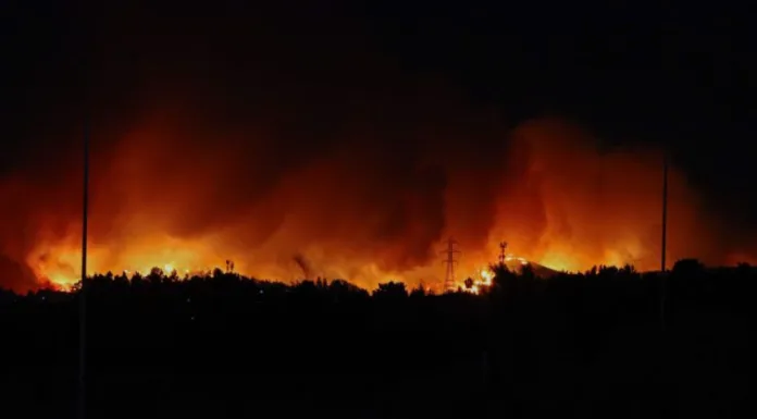 Decretan Estado de Catástrofe para Biobío y Ñuble por incendios forestales