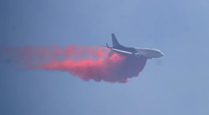 Incendios patagónicos: Argentina pidió ayuda a Chile, que envió dos aeronaves
