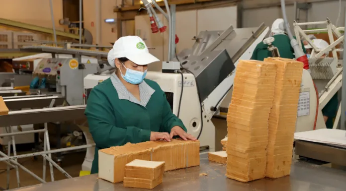 Salario mínimo completa en enero ciclo de históricas alzas alcanzadas en el Gobierno del Presidente Boric, pasando de $350 mil a $539 mil en su gestión