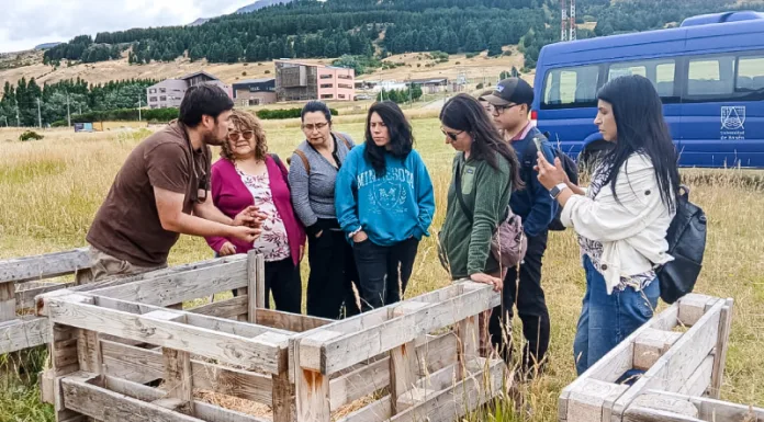 Más de 250 personas asistieron a las actividades abiertas y gratuitas de la Escuela de Verano UAysén 2026