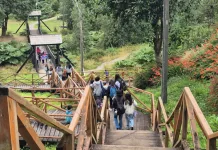 “Actívate en Vacaciones” Cisnes 2026: Aprendizaje entretenido para niños/as y adolescentes