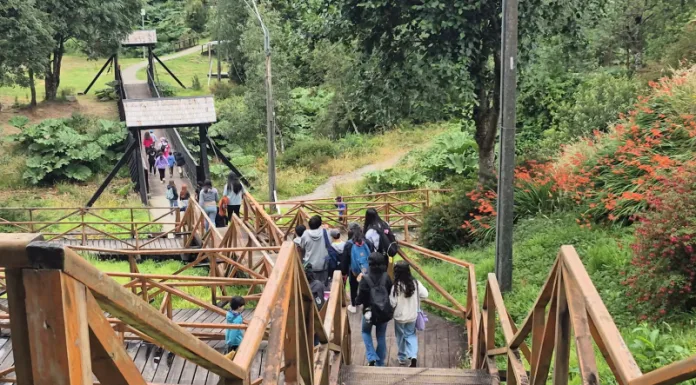 “Actívate en Vacaciones” Cisnes 2026: Aprendizaje entretenido para niños/as y adolescentes