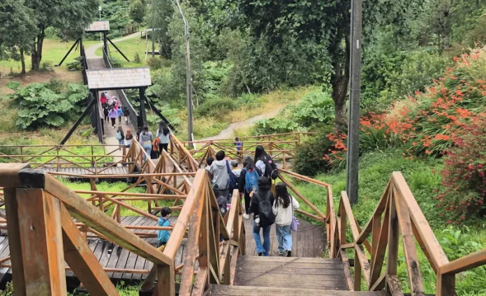 “Actívate en Vacaciones” Cisnes 2026: Aprendizaje entretenido para niños/as y adolescentes