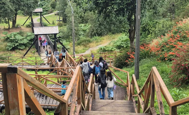 ACTIVATE CISNES 28 (1)