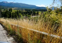 Gobierno Regional solicita limpieza urgente de pastizales secos en accesos a Coyhaique por riesgo de incendios