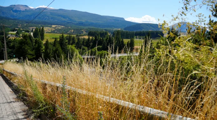 Gobierno Regional solicita limpieza urgente de pastizales secos en accesos a Coyhaique por riesgo de incendios