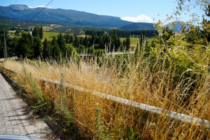 Gobierno Regional solicita limpieza urgente de pastizales secos en accesos a Coyhaique por riesgo de incendios