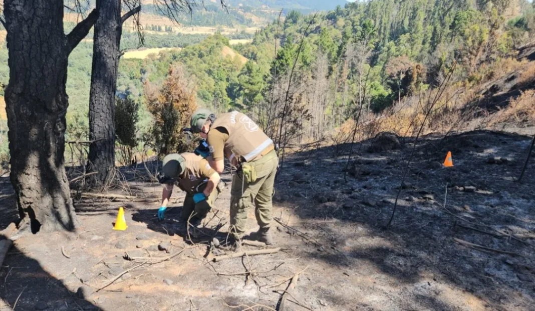 IMG-20250214-WA0126-1024x596-1 (1)