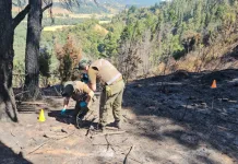 Carabineros Aysén insta a prevenir incendios forestales, asfixias por inmersión y contagios por virus hanta