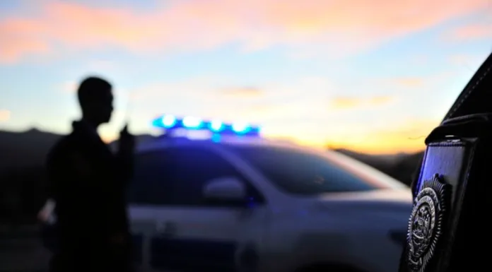 DENTIENEN A SUJETO POR REALIZAR ACTOS DE CONNOTACIÓN SEXUAL EN PLENO CENTRO DE COYHAIQUE