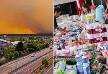 Incendios forestales: revisa AQUÍ los principales centros de acopio en el Gran Concepción
