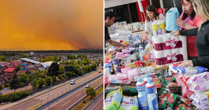 Incendios forestales: revisa AQUÍ los principales centros de acopio en el Gran Concepción