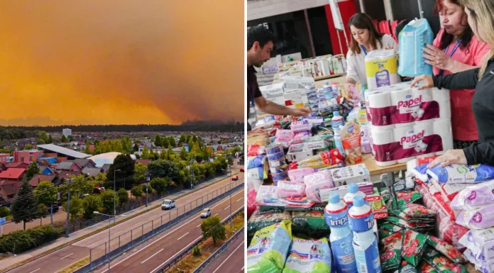 Incendios forestales: revisa AQUÍ los principales centros de acopio en el Gran Concepción