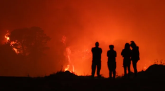 Alcalde denuncia saqueos en el Hospital de Lirquén: “Hay un problema grave de inseguridad”