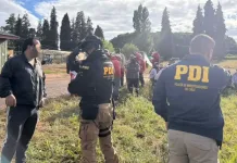Sorprenden a 40 bolivianos trabajando en fundos de la provincia de Osorno