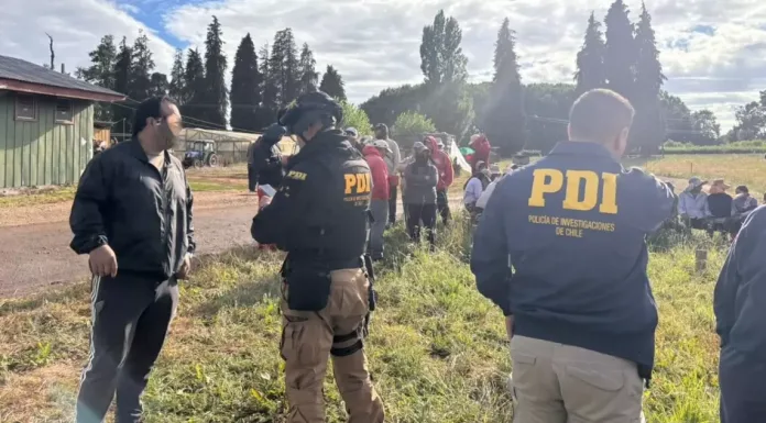 Sorprenden a 40 bolivianos trabajando en fundos de la provincia de Osorno