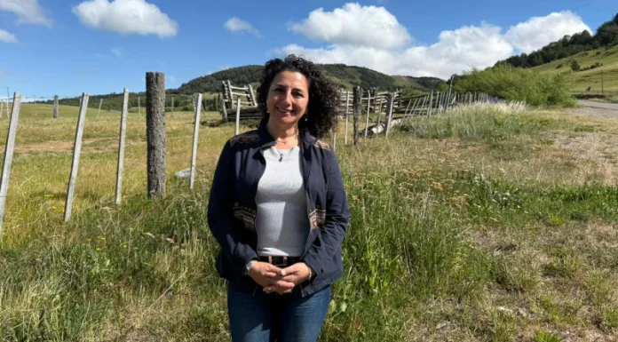 CHILE CUIDA ES LEY: SEREMI MIDESO DESTACA LOS AVANCES EN AYSÉN Y DETALLA ALCANCES DE LA NORMA