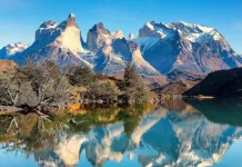 Ciudadano israelí es detenido por encender fuego al interior del Parque Torres del Paine