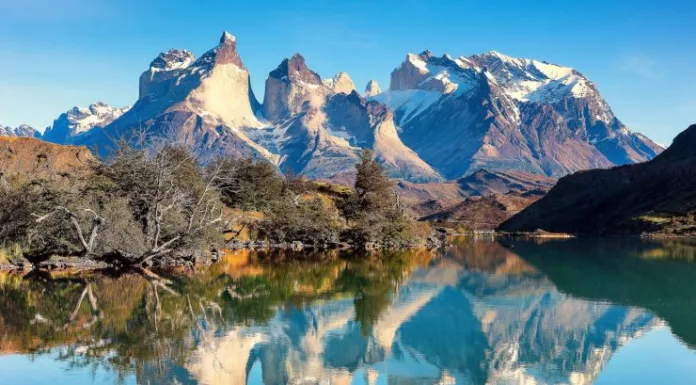 Ciudadano israelí es detenido por encender fuego al interior del Parque Torres del Paine