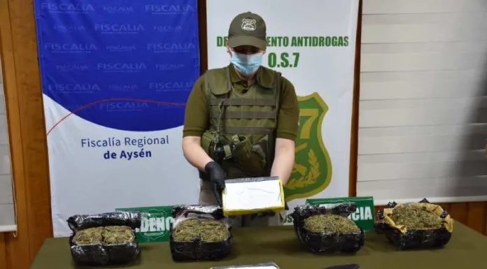Coyhaique: Carabineros y Fiscalía decomisan más de 2 kilos de cocaína y casi 4 kilos y medio de cannabis