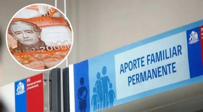 Aporte Familiar Permanente 2026: IPS anunció fechas de consulta para saber si recibirán el beneficio