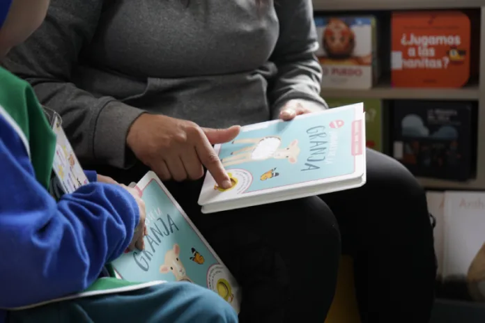 Dos nuevas guaguatecas se inauguran en Cochrane y Puerto Aysén