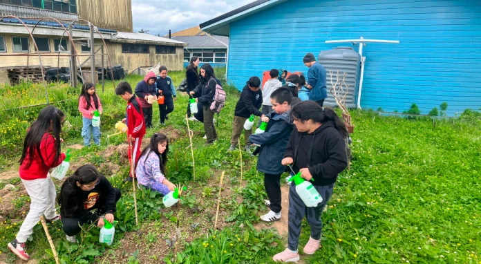 Puerto Aysén fortalece la educación ambiental con proyecto impulsado por el Centro de Padres de la Escuela Básica Ribera Sur