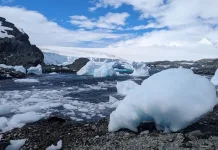 La Universidad Austral de Chile solicita medidas para asegurar continuidad de centros de impacto global tras cuestionados resultados 2025