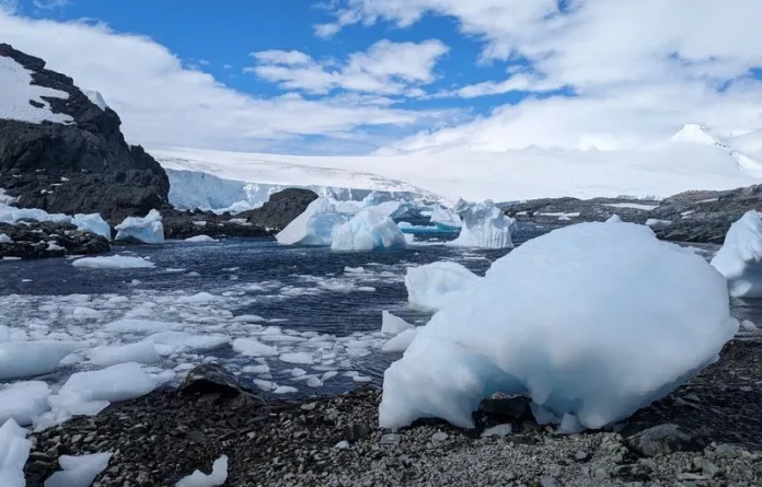 La Universidad Austral de Chile solicita medidas para asegurar continuidad de centros de impacto global tras cuestionados resultados 2025