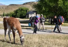 COCHRANE VIVIÓ EXITOSA XXI VERSIÓN DE LA RUTA DEL HUEMUL VERANO CON MÁS DE 120 PARTICIPANTES