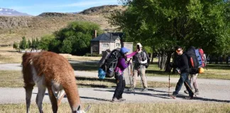 COCHRANE VIVIÓ EXITOSA XXI VERSIÓN DE LA RUTA DEL HUEMUL VERANO CON MÁS DE 120 PARTICIPANTES