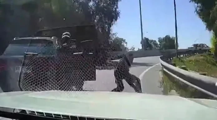 Chofer que arrolló a delincuente confirma disparos en su contra: “Lo atropello fácil a 80 o 100 km/h”