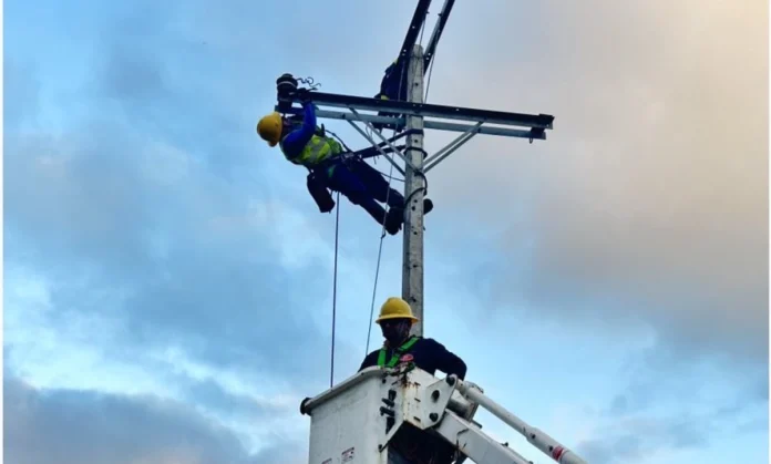 Edelaysen realizará trabajos de mantenimiento para reforzar la red eléctrica en Chile Chico