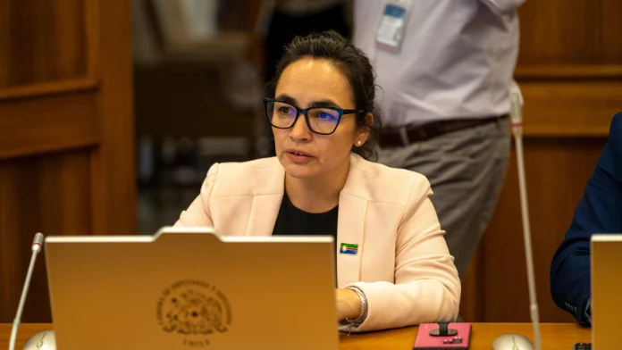 Diputada Macías plantea cambios clave: incluir a choferes de taxi colectivos y proteger a Mipymes