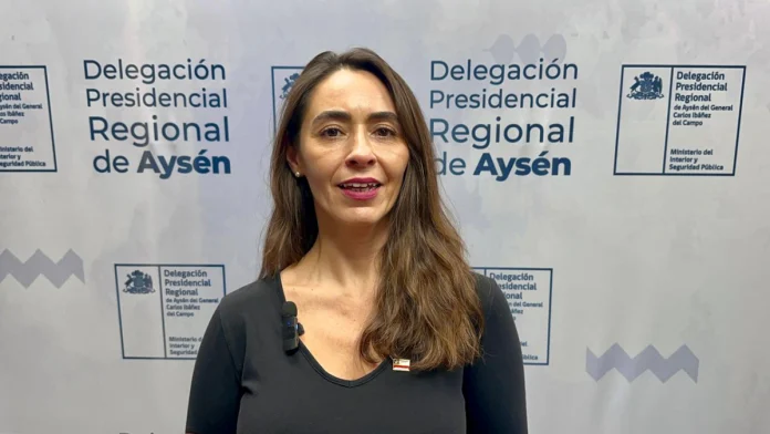 Delegación Presidencial ratifica continuidad de programa de entrega de leña