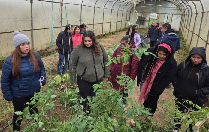 REALIZAN TALLER DE CULTIVO BAJO INVERNADERO EN CET VALLE VERDE