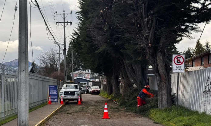 Edelaysen realizará trabajos preventivos en el centro de Coyhaique para reforzar la red de cara al invierno