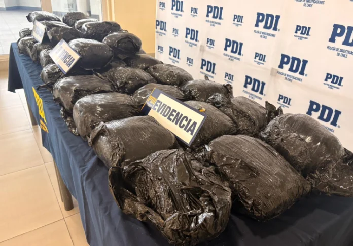 Histórico decomiso: PDI y SAC Aysén desbaratan clan familiar que traficaba cannabis en falsas mudanzas con destino a Coyhaique
