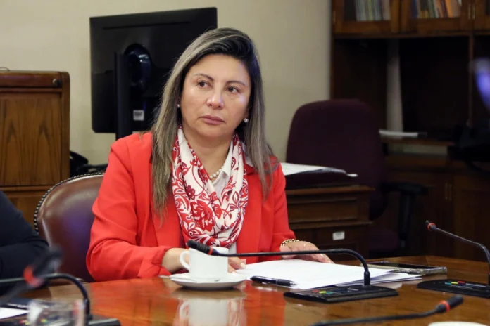 Diputada Valdebenito: “La sala cuna universal no se puede seguir postergando”