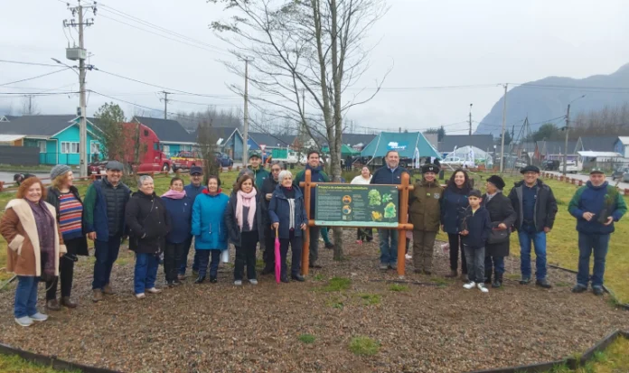 CONAF celebra el Día Mundial del Árbol recuperando un espacio público con árboles e infraestructura básica