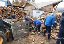 100 FAMILIAS DE COCHRANE RECIBEN LEÑA ANTES DEL INVIERNO GRACIAS AL TRABAJO COORDINADO ENTRE EL MUNICIPIO, CONAF Y EL GOBIERNO REGIONAL