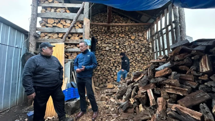 SMA Fiscaliza comercialización de leña seca en Coyhaique para reforzar medidas del Plan de Descontaminación Atmosférica