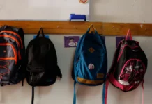 Revés para el Gobierno: TC declara inconstitucionales inhabilidad para acceder a la gratuidad y revisión de vestimentas en colegios