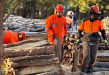 Este viernes comienza la entrega de más de 500 metros de leña en Chile Chico
