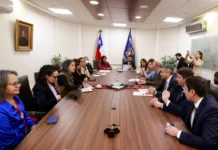 Delegada Presidencial participa en reunión con Ministra de Salud para avanzar en proyecto oncológico para Aysén