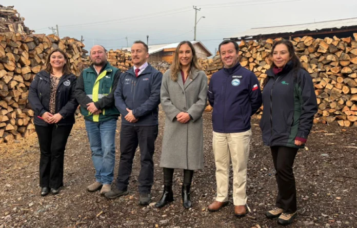 Autoridades constatan que leña para familias de Coyhaique ya se encuentra acopiada y lista para su distribución