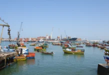Exportaciones pesqueras y acuícolas crecen 12,1% y superan en 33,9% el promedio de los últimos cinco años