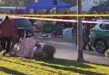 Vehículo ingresó a una feria en Viña del Mar: al menos seis personas fallecieron y siete resultaron heridas
